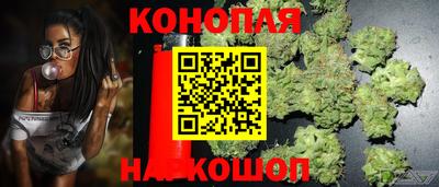 трава Тара