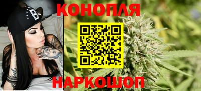 ешки Тула